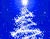 Star Na Blue Tree