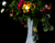 Vaza ir gėlės