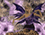 Violetinė fėja