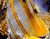 Geltona Kardas Žuvis