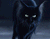 חתול שחור ישן