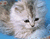 Симпатичні сіре кошеня