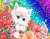 Білий кошеня і троянди