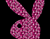Рожевий Кролик 01