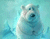 Холодний Білий ведмідь