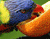 Renkli Papağan