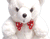 Ugly White Teddy Bear