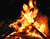 Wood Burning Fire