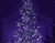 Purple Tree 01
