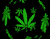 marihuaana