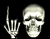 skelet ant galvos 02