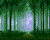 ліс