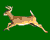 deer 2