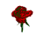 перетворення троянди 01