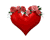 mawar jantung