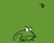 frog 04