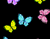 värvilisi liblikaid