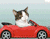 Кітті їзди на автомобілі