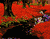 Sebuah Hutan Dari Bunga Merah