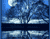 Clair de lune sur le lac avec un arbre