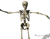 Squelette Dansant 02