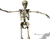 Skeleton Bermain