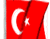 Turkish Flag 01