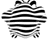 Corak zebra