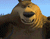 הדוב של מתוסכל