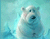 Sevimli Polar Bear 01