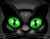 Черна котка със зелени очи