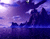 Dabas ainavas Purple