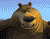 ناز بزرگ خرس