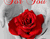 Red Rose Untuk Anda