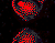 לב אדום ופרפרים