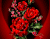 Briliantas raudonų rožių