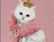 Prenses Beyaz Kedi
