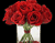 Vaza ir raudonos rožės
