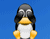 Cute Penguin New