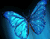 Glowing Blue Butterfly
