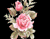 Ryškiai rožinės spalvos rožės