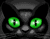 Green Eyed Cat 01
