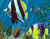Colorful Aquarium 01