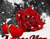 Sniego Ir raudonos rožės 01