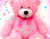 Сладко Pink Teddy Bear