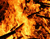 Wood Burning 02