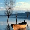 Empty Boat 03