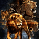 Powerful Lion