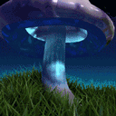 Phosphorescent Mushrooms