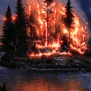 Burning Big Forest